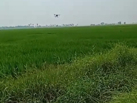 1.89 acre black soil agriculture land