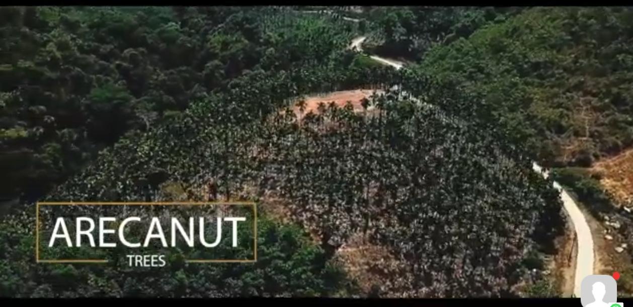 985 Acres Red Soil Commercial Land for Sale Near Dharmasthala, Dakshina Kannada District, Karnataka | BHOOVIX BX-32723