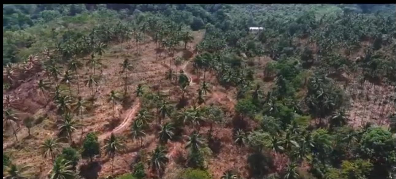 985 Acres Red Soil Commercial Land for Sale Near Dharmasthala, Dakshina Kannada District, Karnataka | BHOOVIX BX-32723