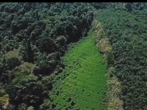 985 Acres commercial Land