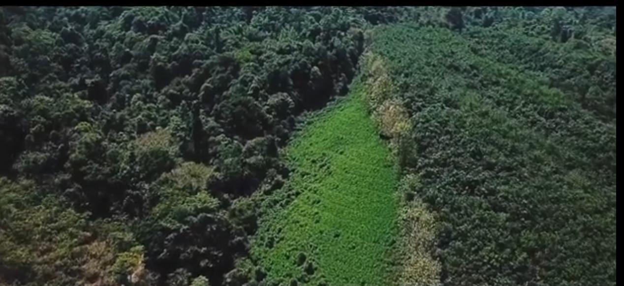 985 Acres commercial Land