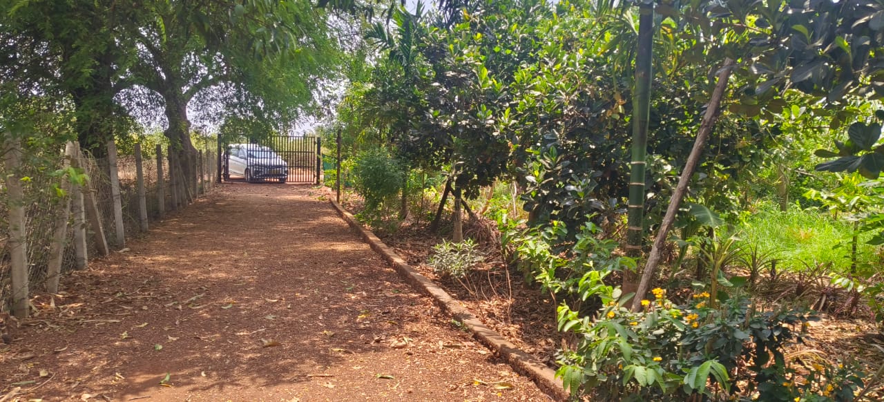 2 Acres Red Soil Pineapple Garden Land for Sale in Kohir Mandal, Sangareddy District, Telangana | BHOOVIX BX-32730