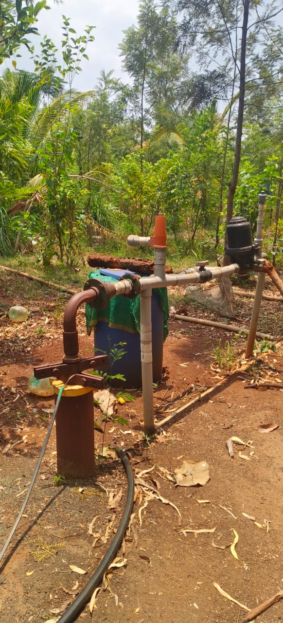 2 Acres Red Soil Pineapple Garden Land for Sale in Kohir Mandal, Sangareddy District, Telangana | BHOOVIX BX-32730
