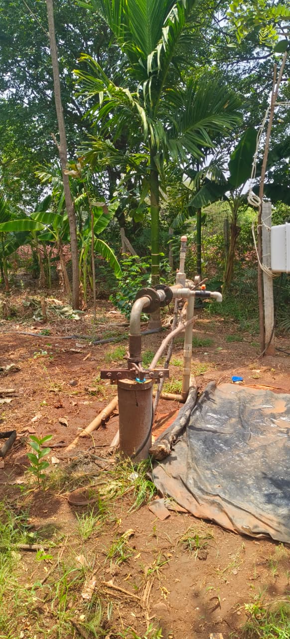 2 acres pine apple garden land