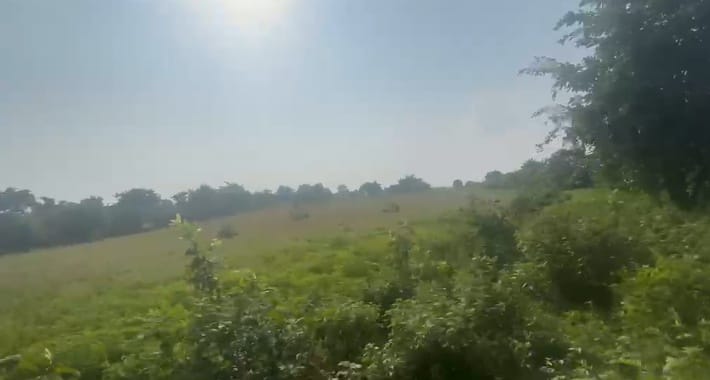 8 Acres BT Road Facing Red Soil Land for Sale in Kalaburagi state, Karnataka | ₹20 Lakhs per Acre | BHOOVIX BX-32764