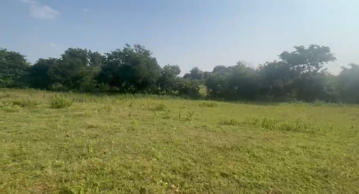 8 Acres BT Road Facing Red Soil Land for Sale in Kalaburagi state, Karnataka | ₹20 Lakhs per Acre | BHOOVIX BX-32764