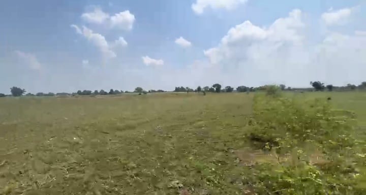 21 Acres Black Soil Agriculture Land for Sale in Sedam district, Kalaburagi state, Karnataka | ₹14 Lakhs per Acre | BHOOVIX BX-32770