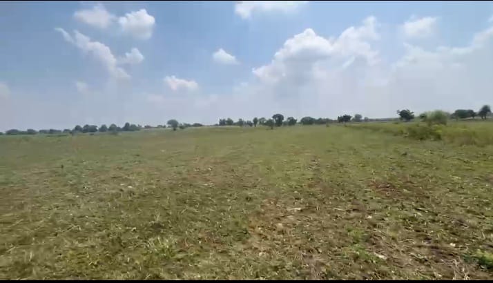 21 Acres Black Soil Agriculture Land for Sale in Sedam district, Kalaburagi state, Karnataka | ₹14 Lakhs per Acre | BHOOVIX BX-32770