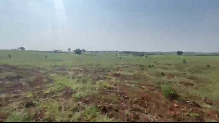₹9 Lakhs per Acre | 21 Acres Red Soil Agriculture Land for Sale in Basava Kalyan Taluk, Bidar District, Karnataka | BHOOVIX BX-32811