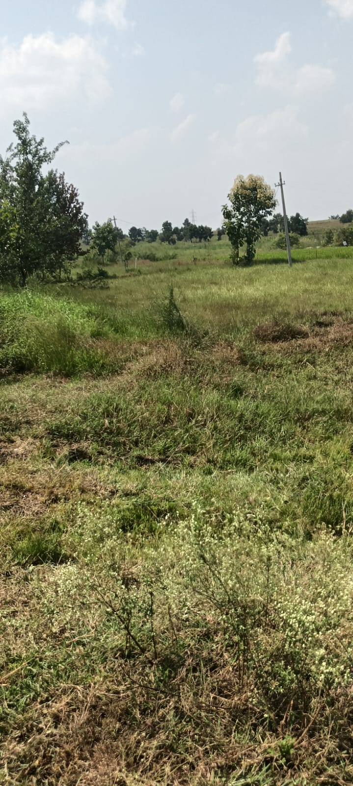 1 acre 8 Guntas Black Soil Land With Bore well for Sale in Kamareddy District, Telangana | Total Amount ₹72 Lakhs | BHOOVIX BX-32831