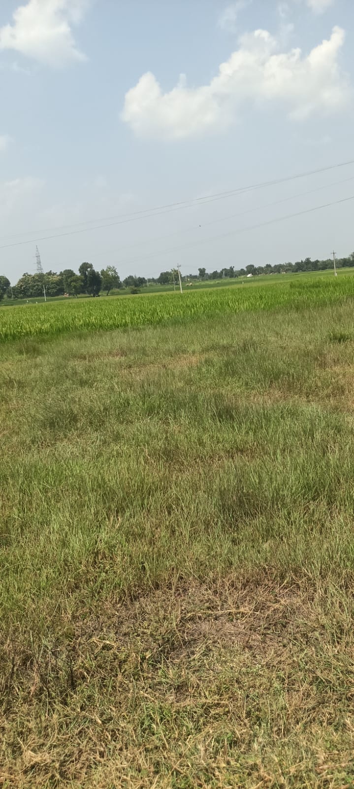 1 acre 8 Guntas Black Soil Land With Bore well for Sale in Kamareddy District, Telangana | Total Amount ₹72 Lakhs | BHOOVIX BX-32831