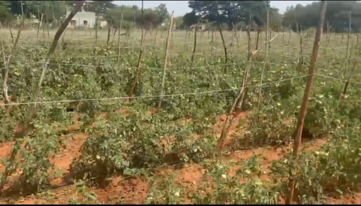 3.30 Acres BT Road Facing Red Soil Agriculture Land for Sale in Gorantla Mandal, Andhra Pradesh | ₹30 Lakhs per Acre | BHOOVIX BX-32852