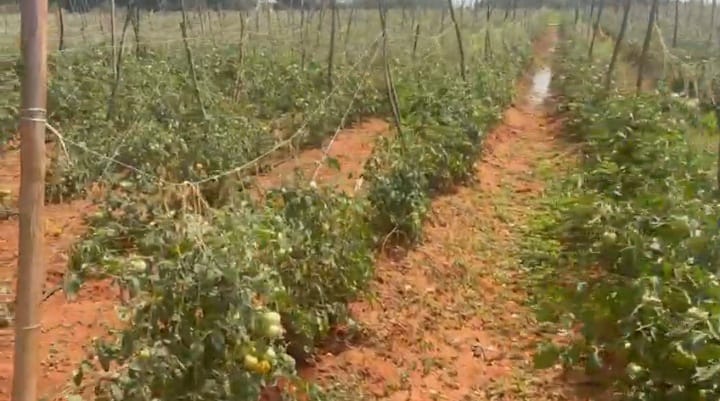3.30 Acres BT Road Facing Red Soil Agriculture Land for Sale in Gorantla Mandal, Andhra Pradesh | ₹30 Lakhs per Acre | BHOOVIX BX-32852
