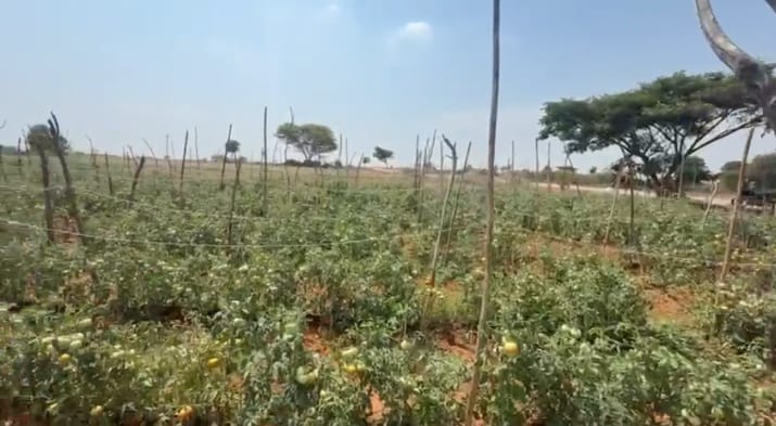 3.30 Acres BT Road Facing Red Soil Agriculture Land for Sale in Gorantla Mandal, Andhra Pradesh | ₹30 Lakhs per Acre | BHOOVIX BX-32852
