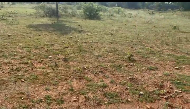 2 Acres BT Road Facing Red Soil Land for Sale in Gorantla Mandal, Sri Satya Sai District, Andhra Pradesh | ₹20 Lakhs/Acre | BHOOVIX BX-32858