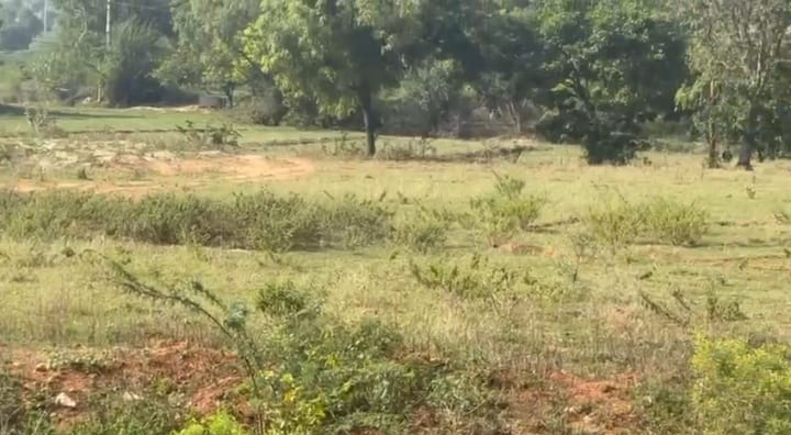 2 Acres BT Road Facing Red Soil Land for Sale in Gorantla Mandal, Sri Satya Sai District, Andhra Pradesh | ₹20 Lakhs/Acre | BHOOVIX BX-32858