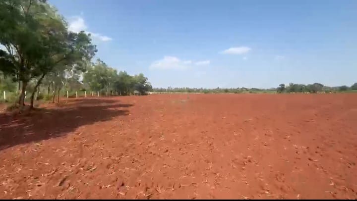 5 Acres 32 Guntas Gravel Road Attached Red Soil Land in Humnabad Taluk, Bidar District, Karnataka | ₹15 Lakhs/Acre | BHOOVIX BX-32907