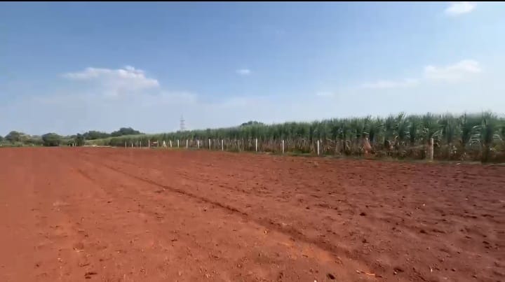 5 Acres 32 Guntas Gravel Road Attached Red Soil Land in Humnabad Taluk, Bidar District, Karnataka | ₹15 Lakhs/Acre | BHOOVIX BX-32907