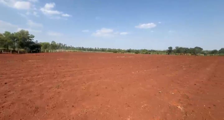 5 Acres 32 Guntas Gravel Road Attached Red Soil Land in Humnabad Taluk, Bidar District, Karnataka | ₹15 Lakhs/Acre | BHOOVIX BX-32907