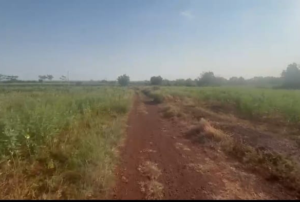 2 Acres Red Soil Agriculture Land