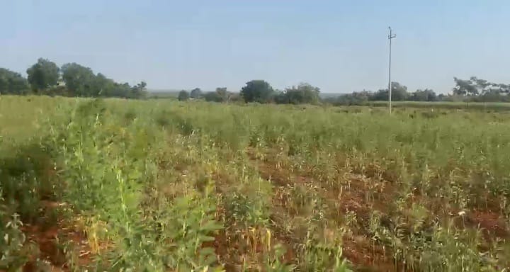 2 Acres Red Soil Agriculture Land for Sale in Bidar District, Karnataka | ₹14 Lakhs Per Acre | BHOOVIX BX-32913
