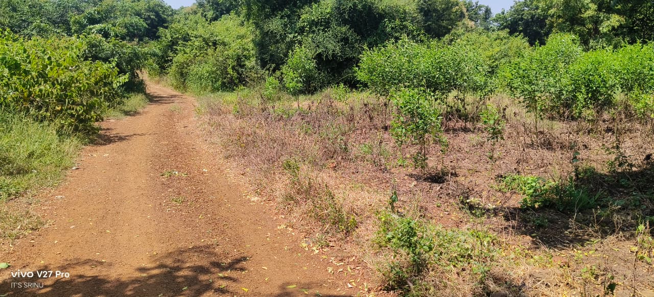 1 Acre 12 Guntas Red Soil Land for Sale in Vikarabad District, Telangana | ₹45 Lakhs/Acre | BHOOVIX BX-33014