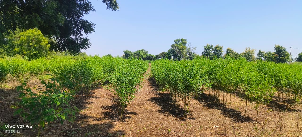 1 Acre 12 Guntas Red Soil Land for Sale in Vikarabad District, Telangana | ₹45 Lakhs/Acre | BHOOVIX BX-33014