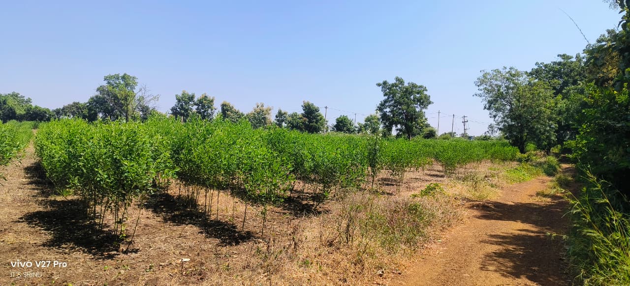 1 Acre 12 Guntas Red Soil Land for Sale in Vikarabad District, Telangana | ₹45 Lakhs/Acre | BHOOVIX BX-33014