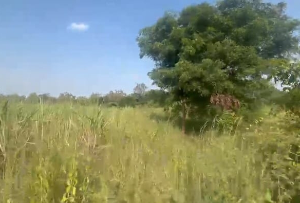 5 acres red soil agriculture land