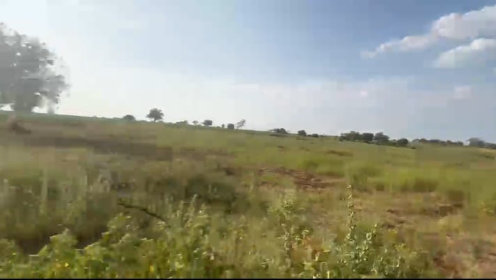 6 Acre Red Soil Agriculture Land for Sale in Humnabad Taluk, Bidar District, Karnataka | ₹13 Lakhs/Acre | BHOOVIX BX-32954
