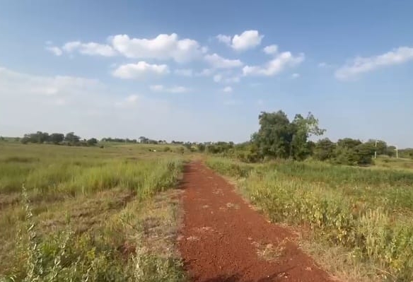 6 acre red soil agriculture land