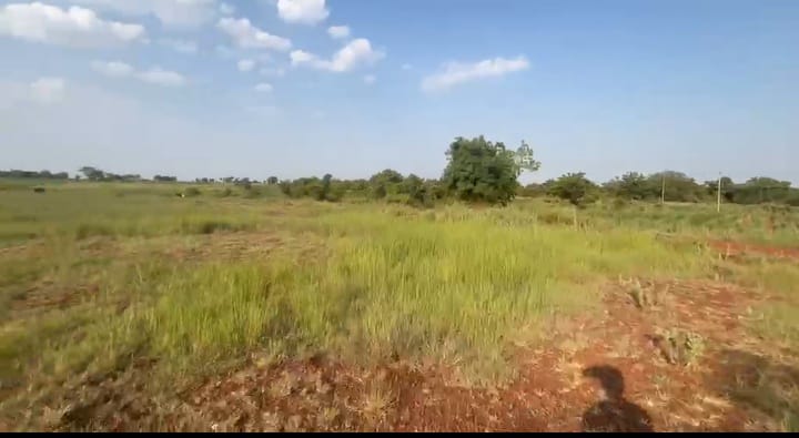 6 Acre Red Soil Agriculture Land for Sale in Humnabad Taluk, Bidar District, Karnataka | ₹13 Lakhs/Acre | BHOOVIX BX-32954