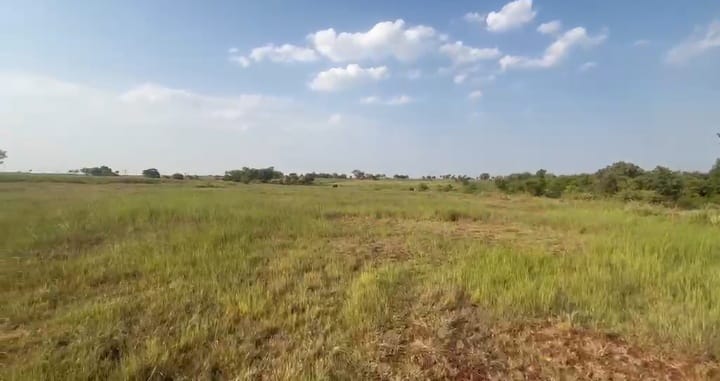 6 Acre Red Soil Agriculture Land for Sale in Humnabad Taluk, Bidar District, Karnataka | ₹13 Lakhs/Acre | BHOOVIX BX-32954