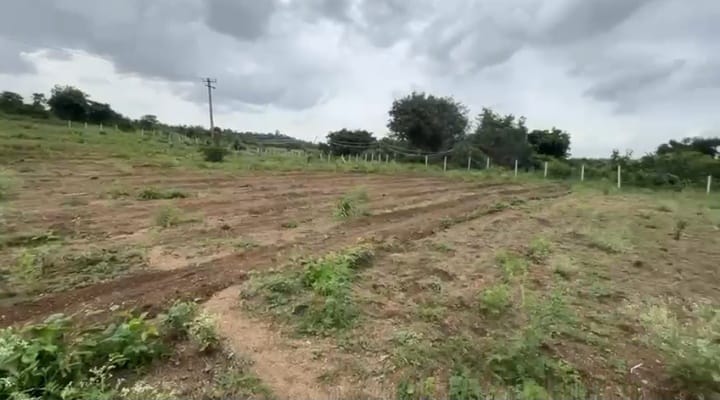 2 Acres 20 Guntas Black Soil Agriculture Land for Sale in Marpalli Mandal, Vikarabad District, Telangana | ₹36 Lakhs/Acre | BHOOVIX BX-32896