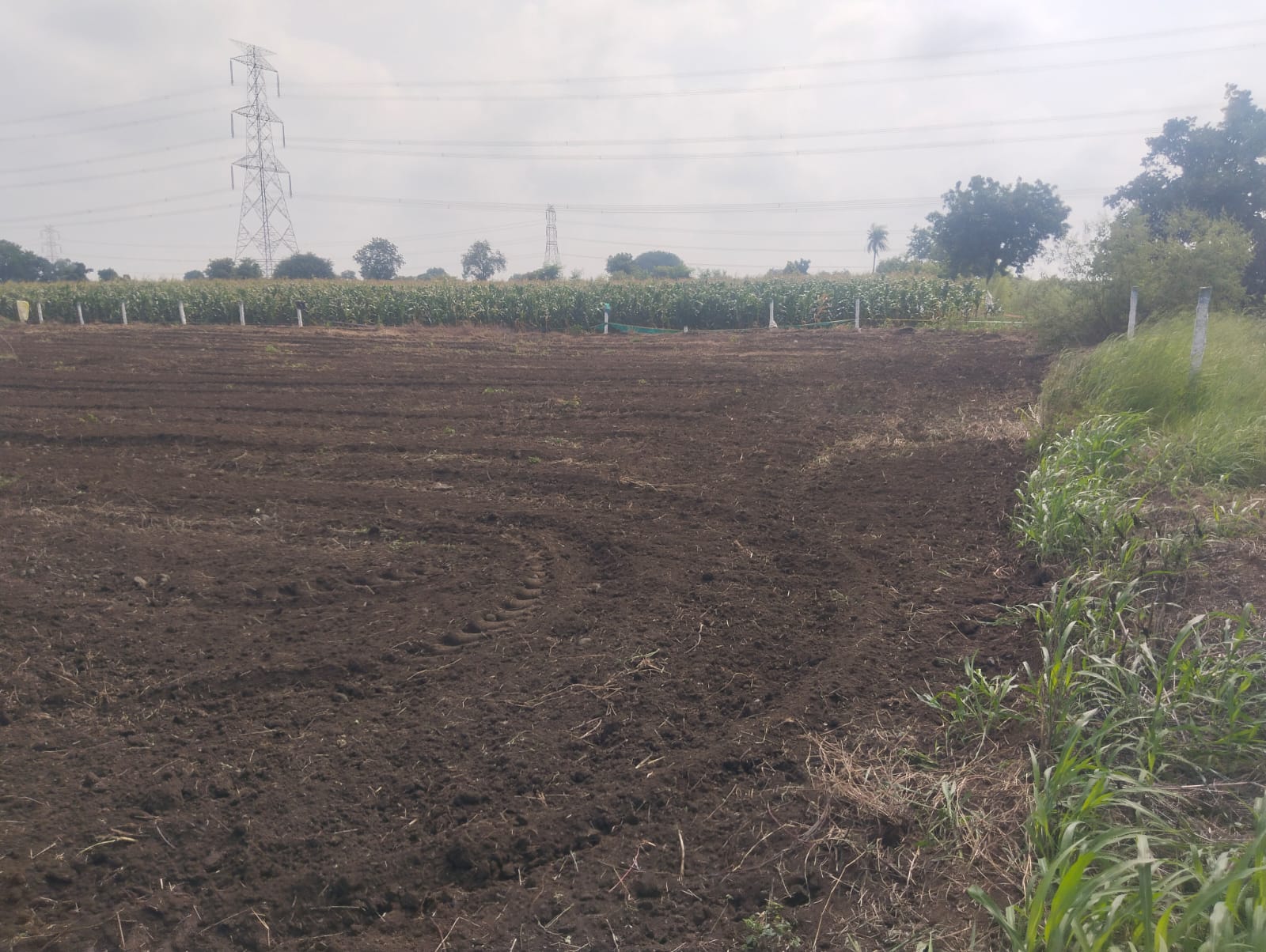 20 Guntas Black Soil Agriculture Land for Sale in Rangareddy District, Telangana | ₹4 Lakhs Per Gunta | BHOOVIX BX-33029