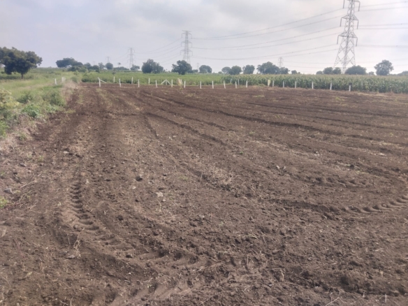 Black soil agriculture land