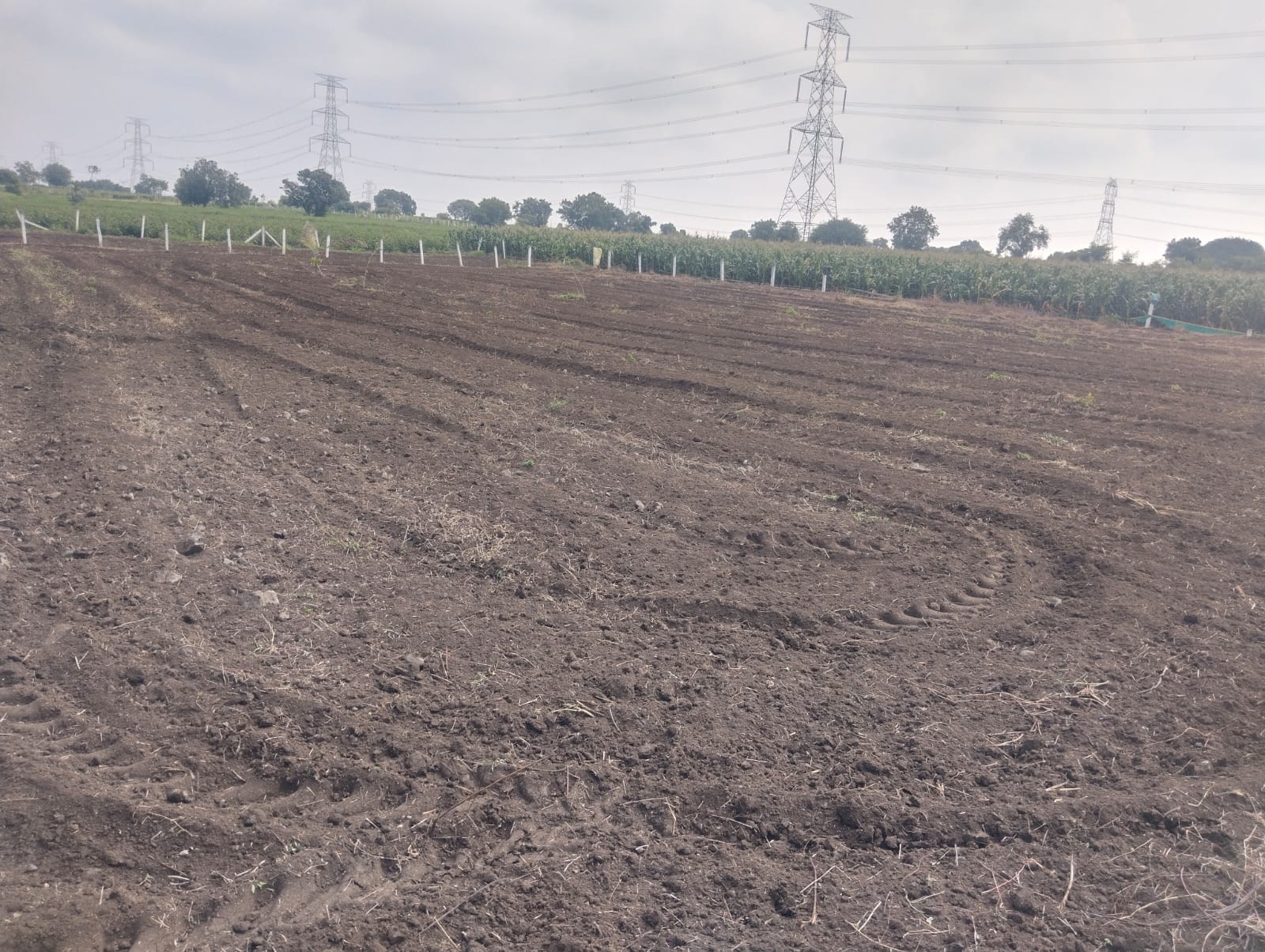 20 Guntas Black Soil Agriculture Land for Sale in Rangareddy District, Telangana | ₹4 Lakhs Per Gunta | BHOOVIX BX-33029
