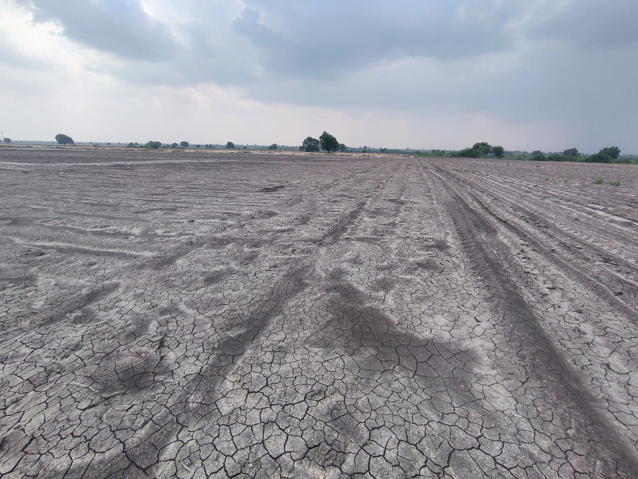 7.26 Acres Black Soil Agriculture Land for Sale in Bellary District, Karnataka | ₹12.50 Lakhs Per Acre | BHOOVIX BX-33044