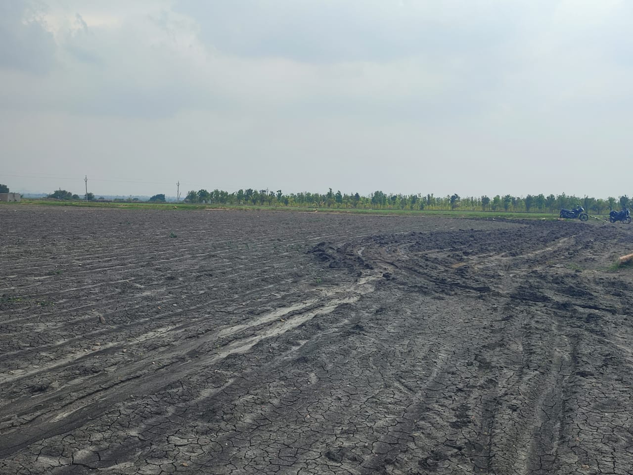 7.26 Acres Black Soil Agriculture Land for Sale in Bellary District, Karnataka | ₹12.50 Lakhs Per Acre | BHOOVIX BX-33044