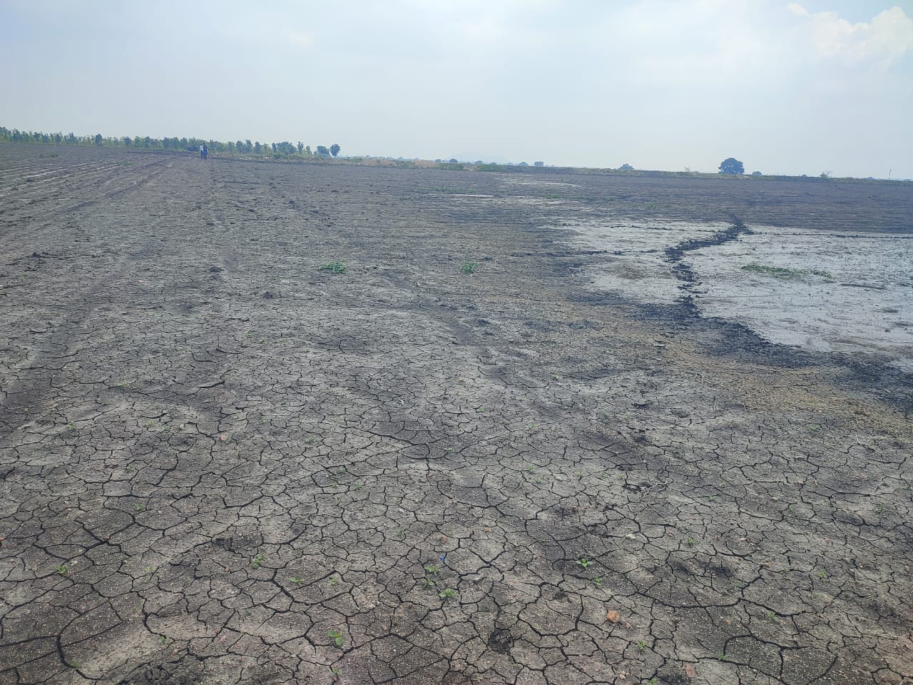 7.26 Acres Black Soil Agriculture Land for Sale in Bellary District, Karnataka | ₹12.50 Lakhs Per Acre | BHOOVIX BX-33044