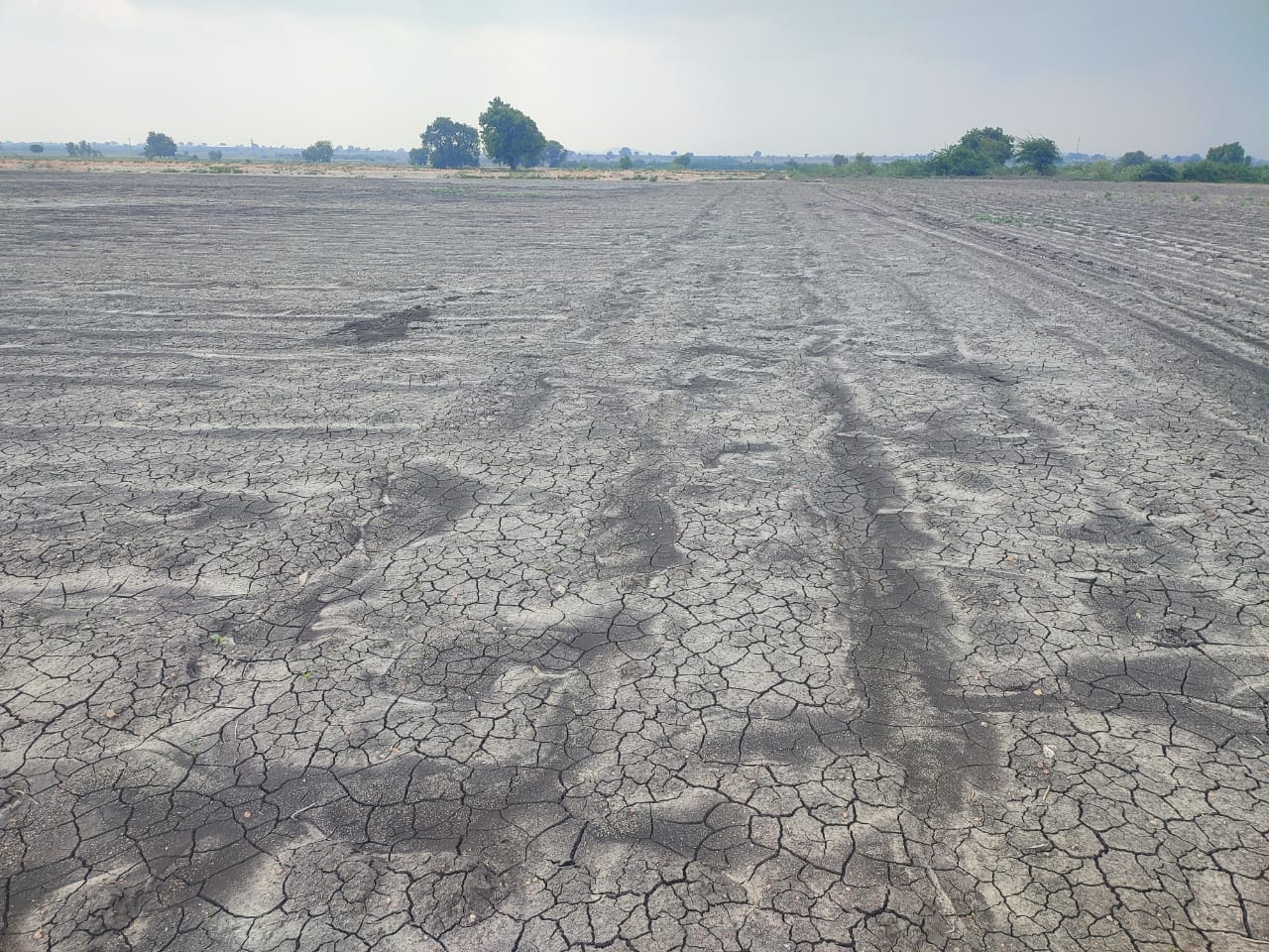7.26 acres Black soil agriculture land