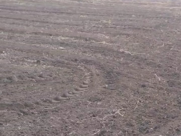 | ₹4 Lakhs Per Acre |10.50 Acres Black Soil Land for Sale in Kurnool district, AP | BHOOVIX BX-25880