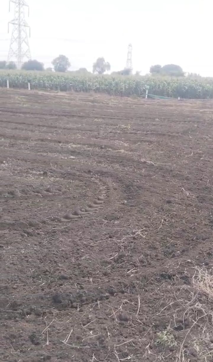 20 Guntas Black Soil Agriculture Land for Sale in Rangareddy District, Telangana | ₹4 Lakhs Per Gunta | BHOOVIX BX-33029