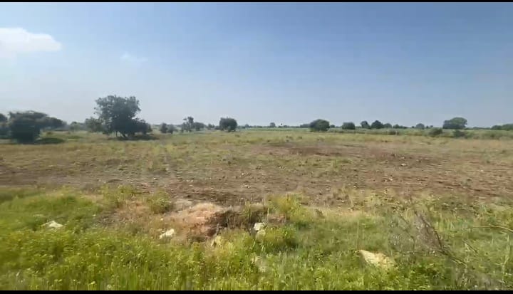 3 Acres 20 Guntas BT Road Facing Agriculture Land for Sale in Chincholi Taluk, Kalaburagi District, Karnataka | ₹14 Lakhs per Acre | BHOOVIX BX-33066