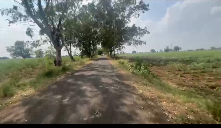 5 Acres BT Road Attached Agriculture Land in Sedam Taluk, Karnataka | ₹25 Lakhs/Acre | BHOOVIX BX-33092