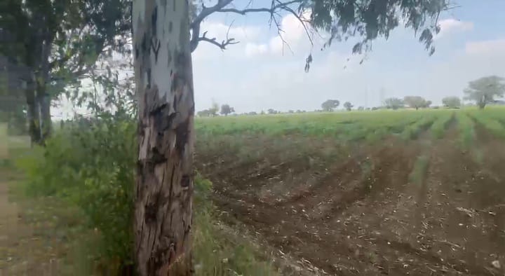 5 Acres BT Road Attached Agriculture Land in Sedam Taluk, Karnataka | ₹25 Lakhs/Acre | BHOOVIX BX-33092