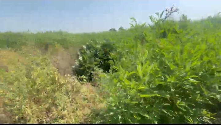 1 Acre Black Soil Agriculture Land in Sedam Taluk, Karnataka | ₹16 Lakhs Per Acre | BHOOVIX BX-33101