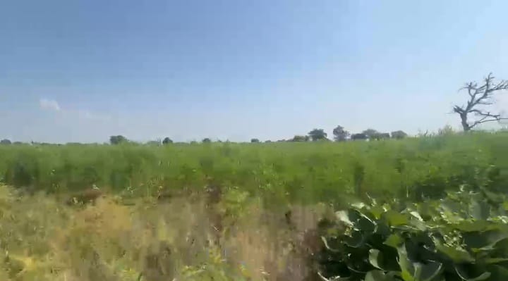 1 Acre Black Soil Agriculture Land in Sedam Taluk, Karnataka | ₹16 Lakhs Per Acre | BHOOVIX BX-33101