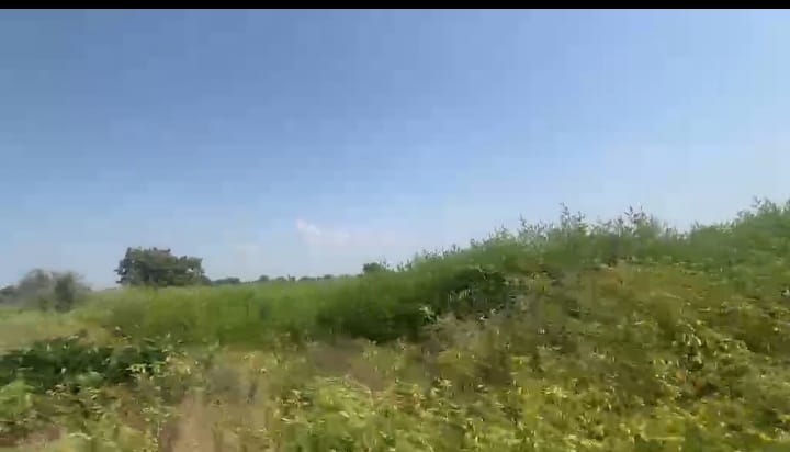 1 Acre Black Soil Agriculture Land in Sedam Taluk, Karnataka | ₹16 Lakhs Per Acre | BHOOVIX BX-33101