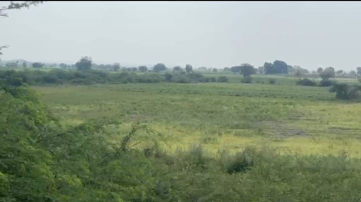 4 Acres BT Road Attachment Agriculture Land in Chincholi Taluk, Kalaburagi District, Karnataka | ₹15 Lakhs per Acre | BHOOVIX BX-33107